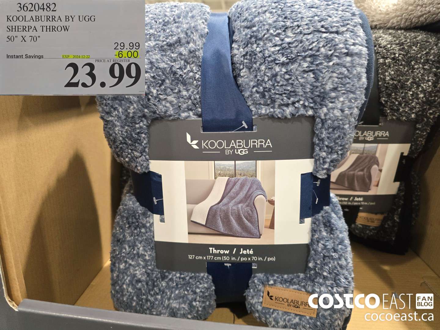 3620482 KOOLABURRA BY UGG SHERPA THROW 50