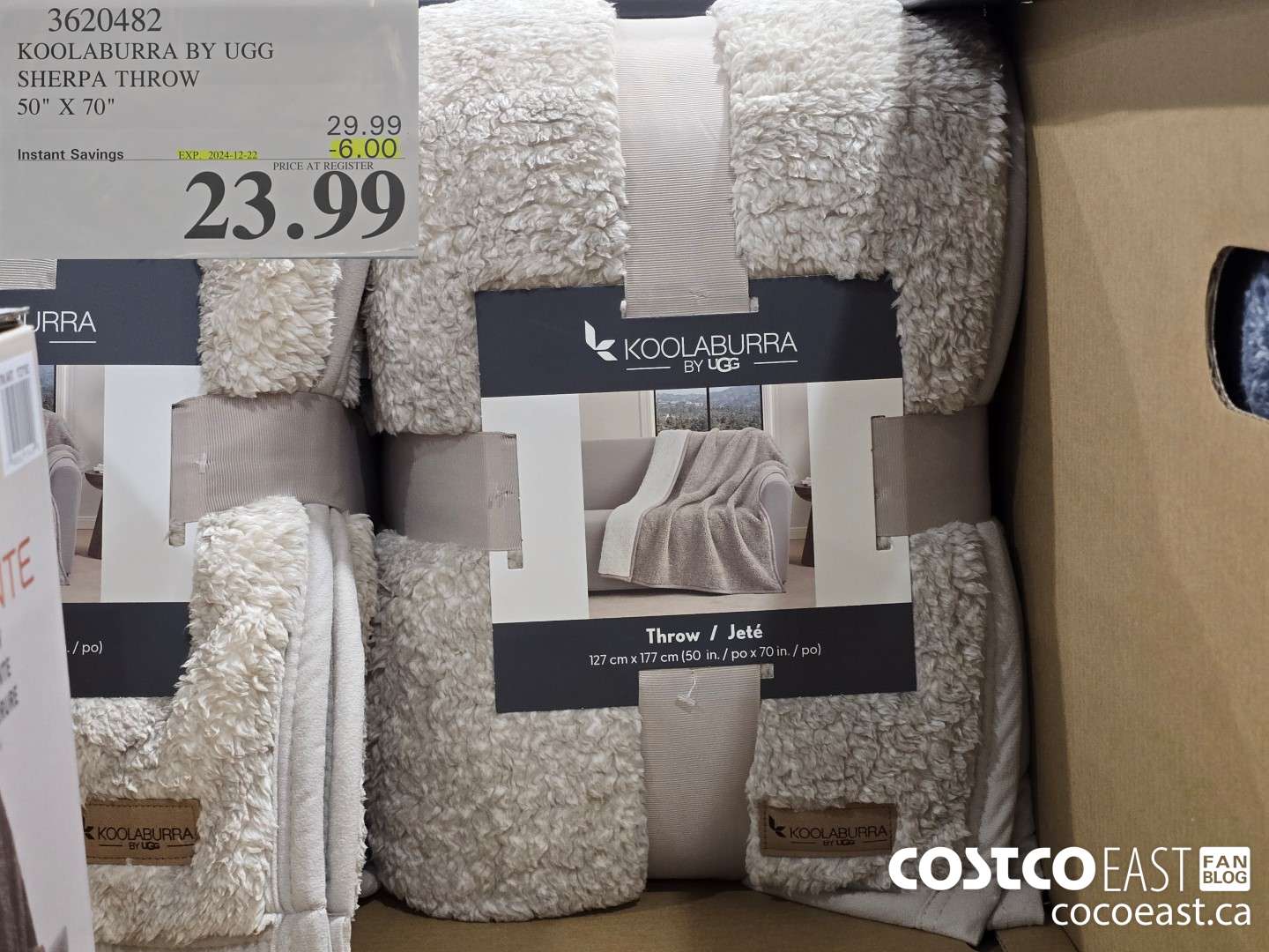 3620482 KOOLABURRA BY UGG SHERPA THROW 50