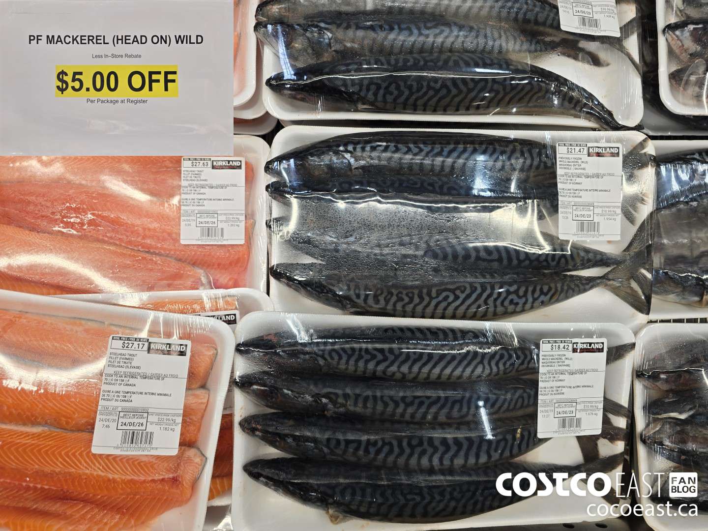 28849 PF MACKEREL (HEAD ON) WILD ($5.00 INSTANT SAVINGS)