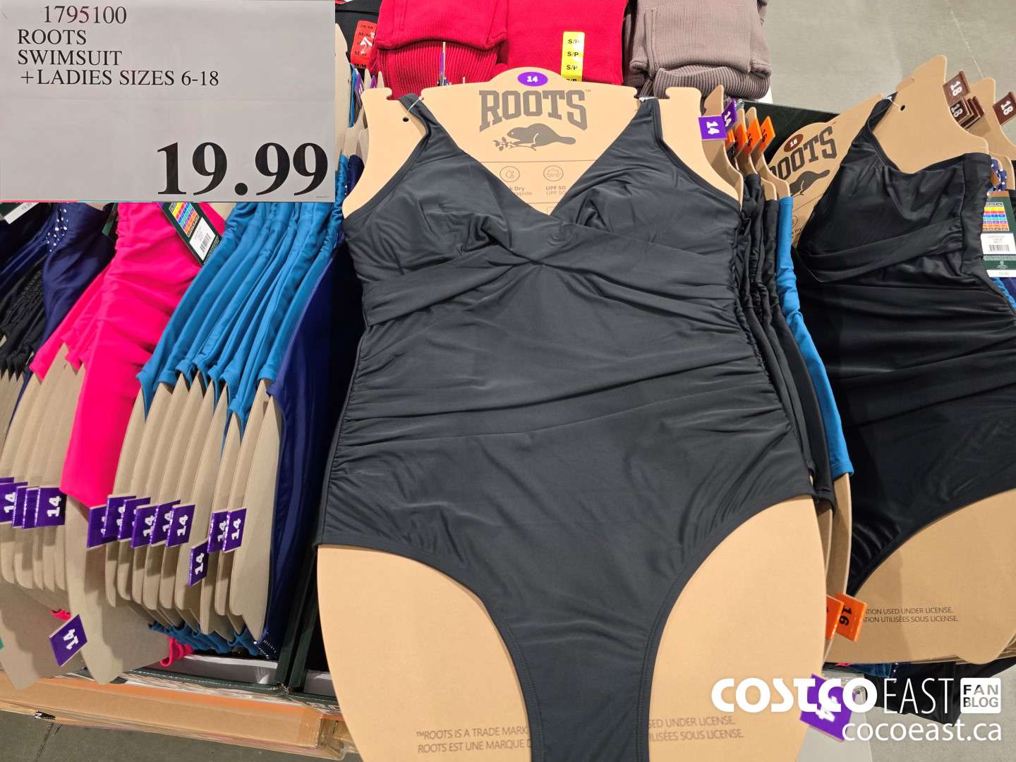 1795100 ROOTS SWIMSUIT +LADIES SIZES 6-18 $19.99