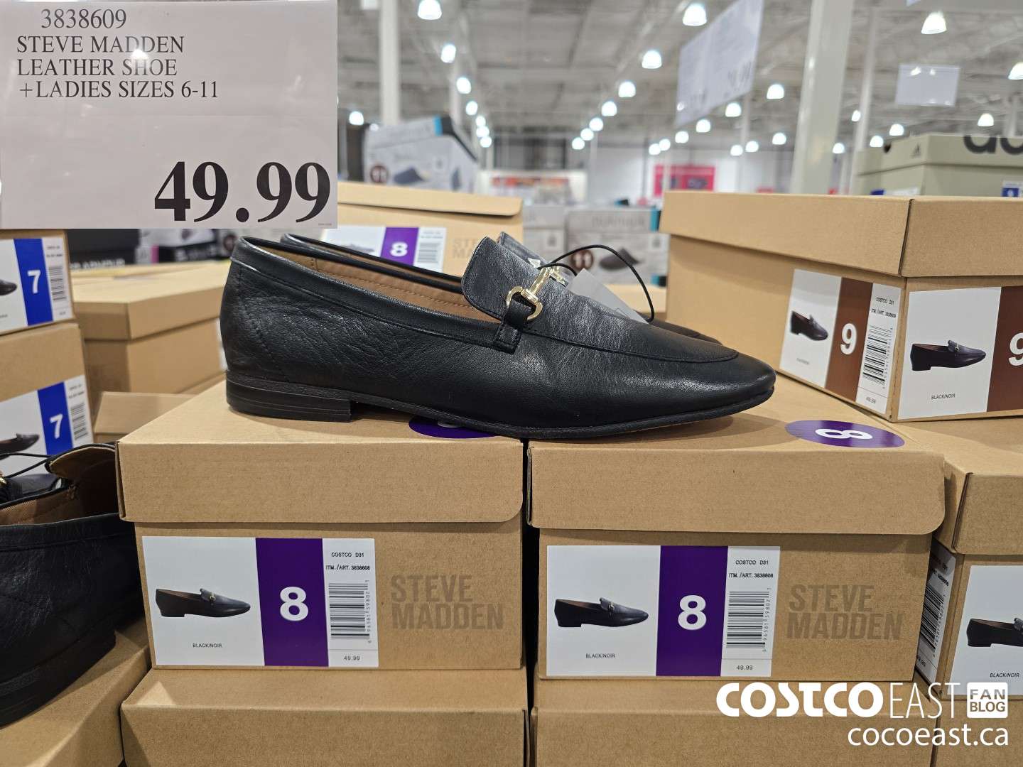 3838609 STEVE MADDEN LEATHER SHOE + LADIES SIZES 6-11 $49.99