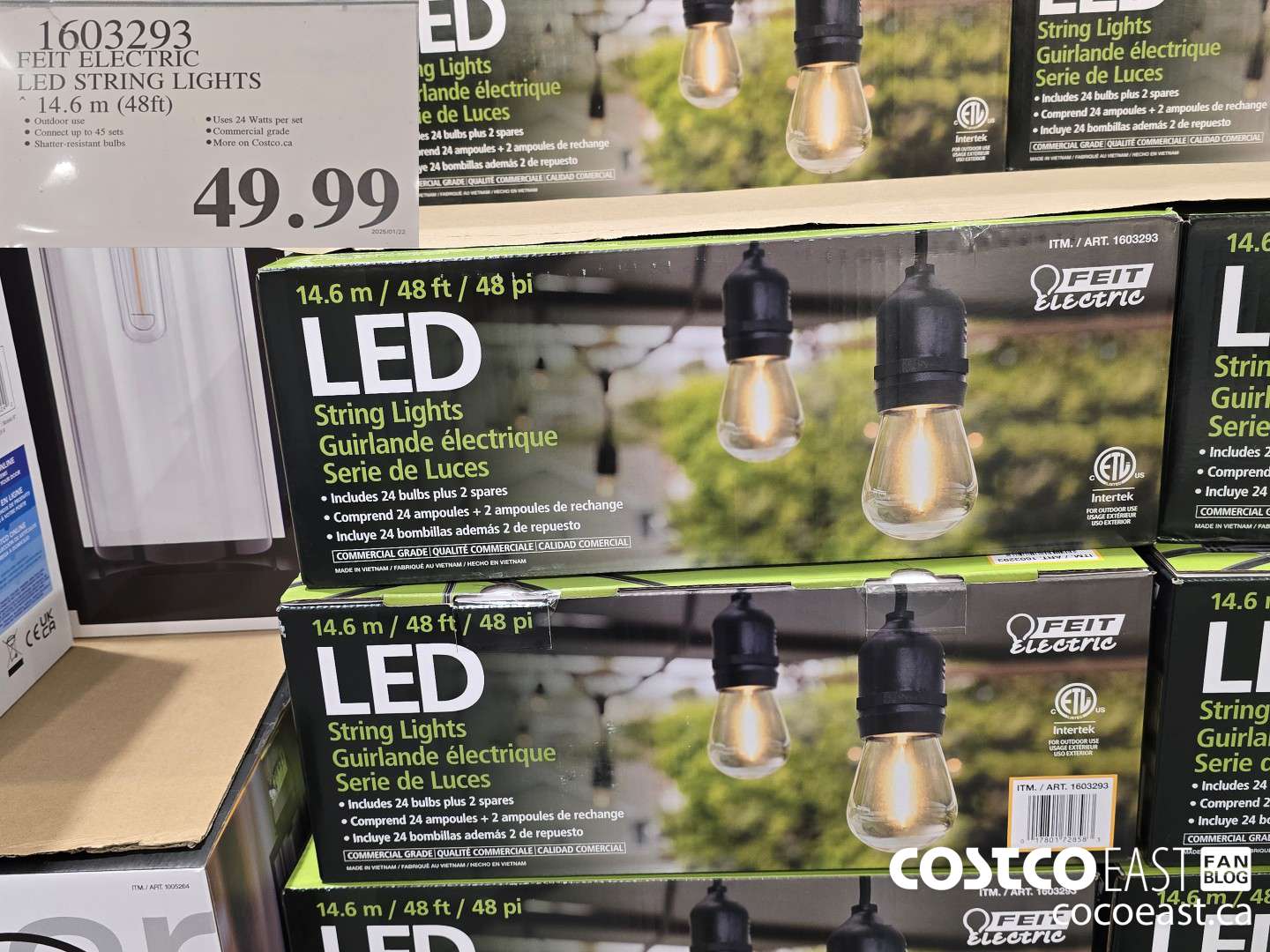 1603293 FEIT ELECTRIC LED STRING LIGHTS “14.6 m (48ft) $49.99