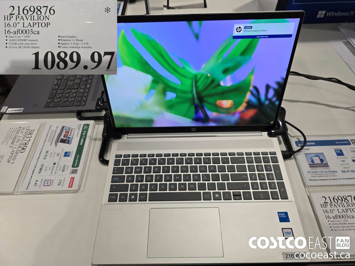 2169876 HP PAVILION 16.0