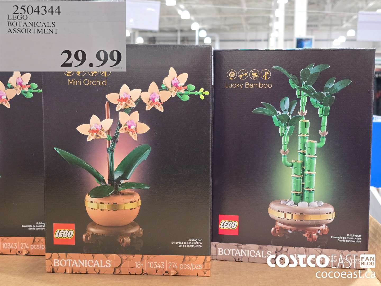 2504344 LEGO BOTANICALS ASSORTMENT $29.99