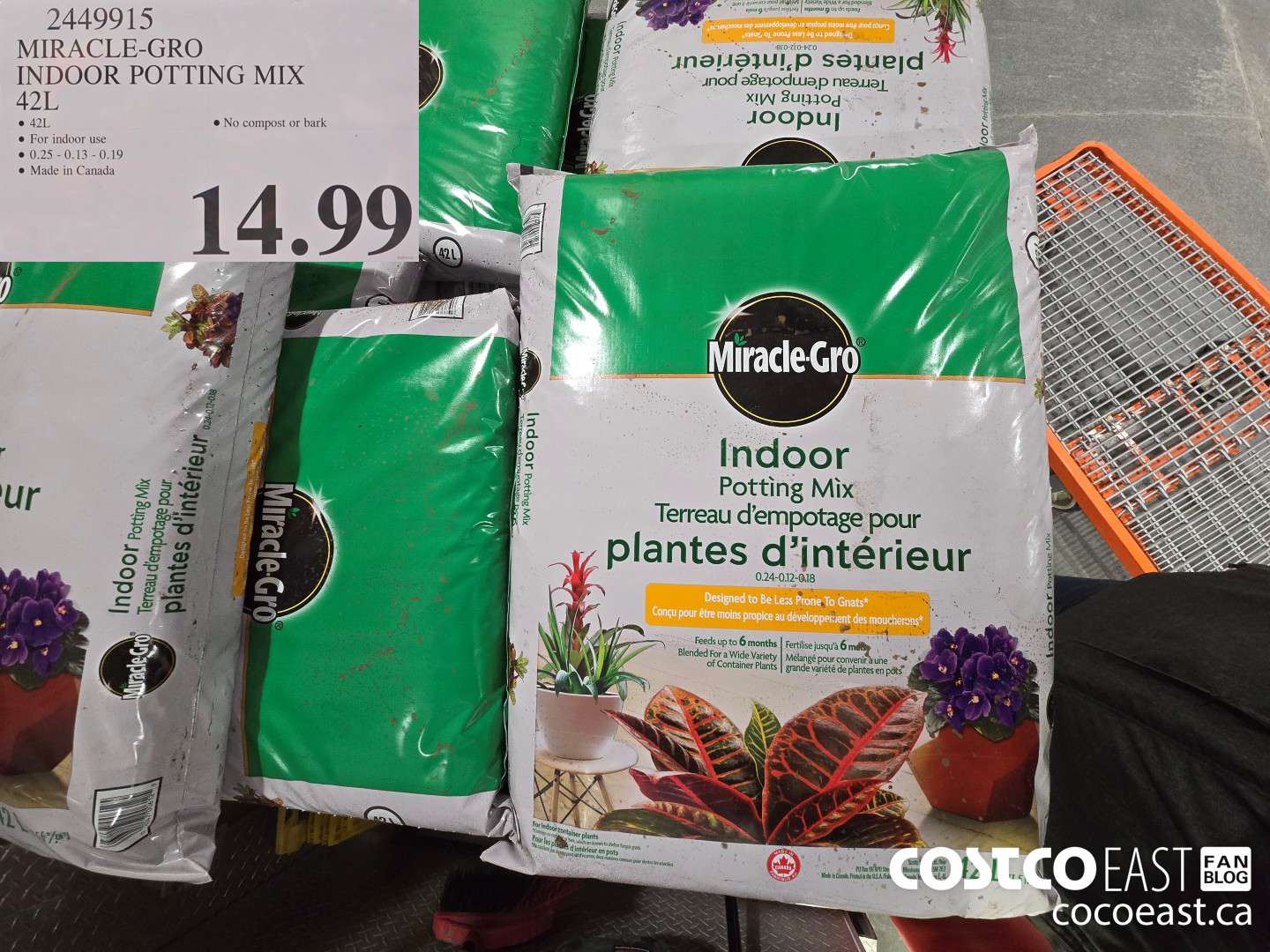 2449915 MIRACLE-GRO INDOOR POTTING MIX 42L $14.99