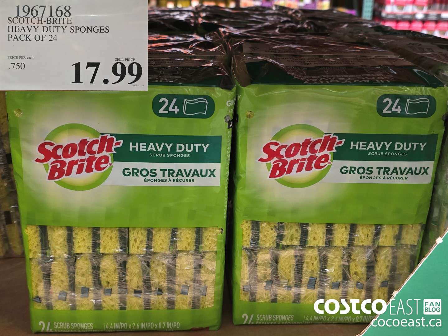 1967168 SCOTCH-BRITE SCRUB SPONGES PACK OF 24 $17.99