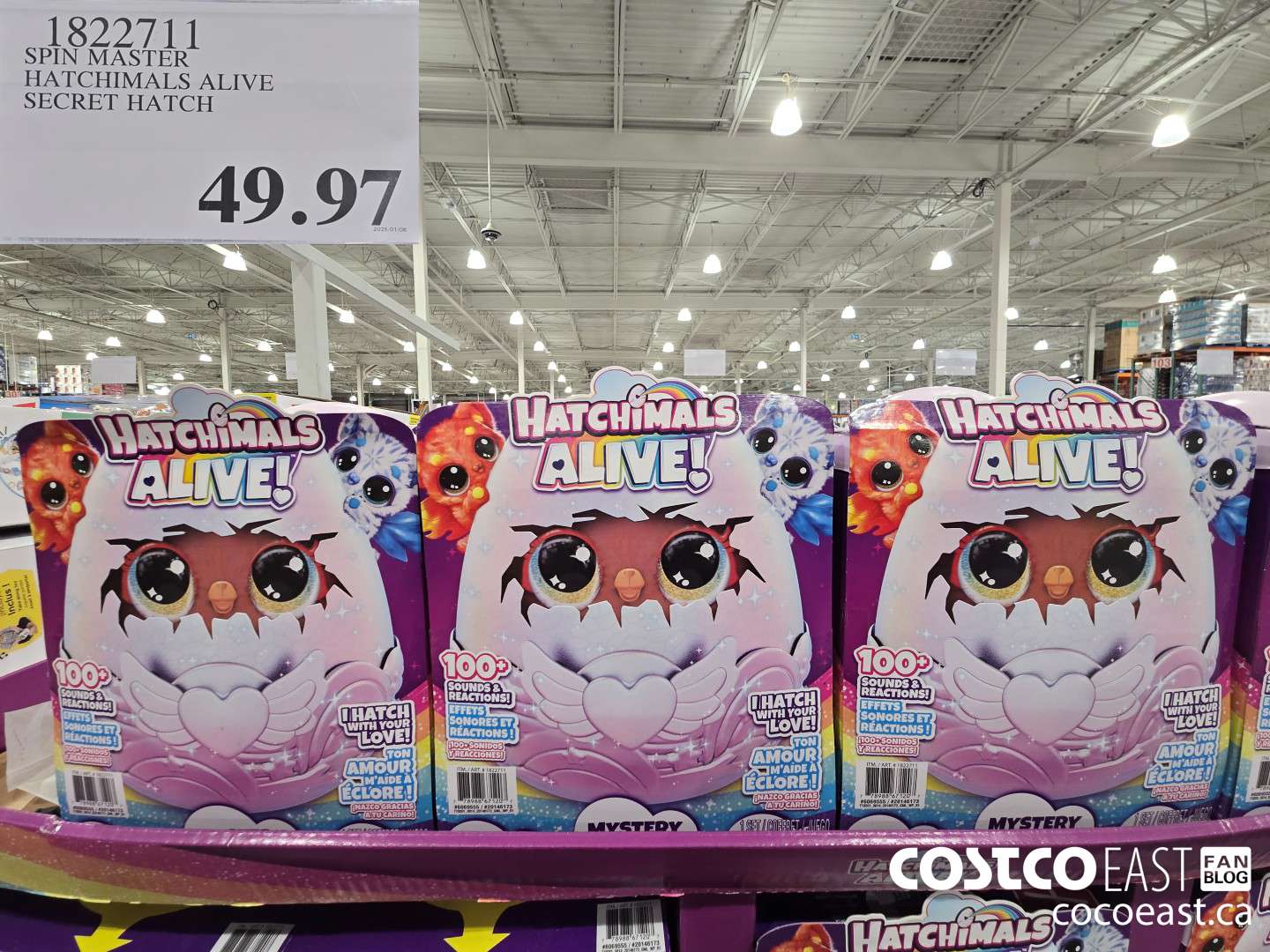 1822711 SPIN MASTER HATCHIMALS ALIVE SECRET HATCH $49.97