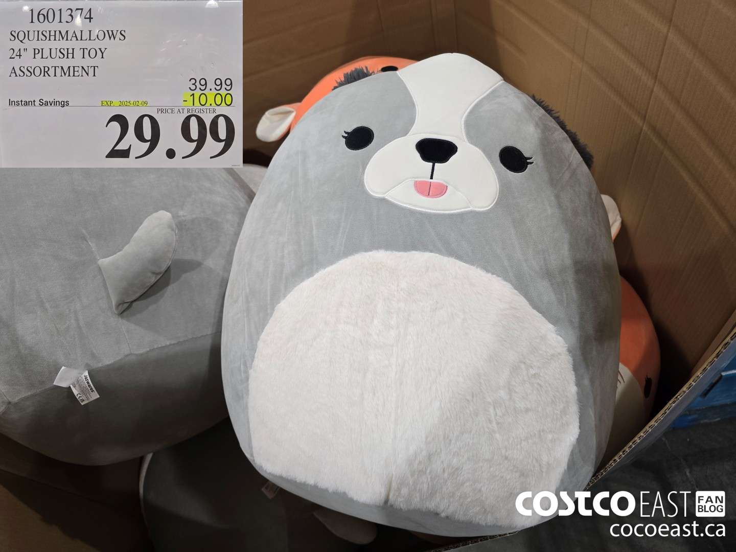 1601374 SQUISHMALLOWS 24