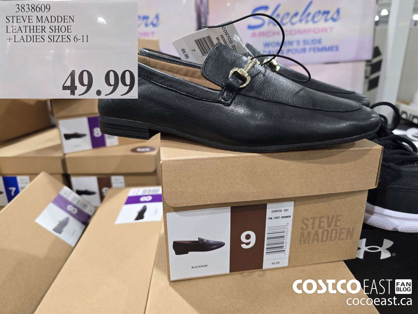 3838609 STEVE MADDEN LEATHER SHOE + LADIES SIZES 6-11 $49.99