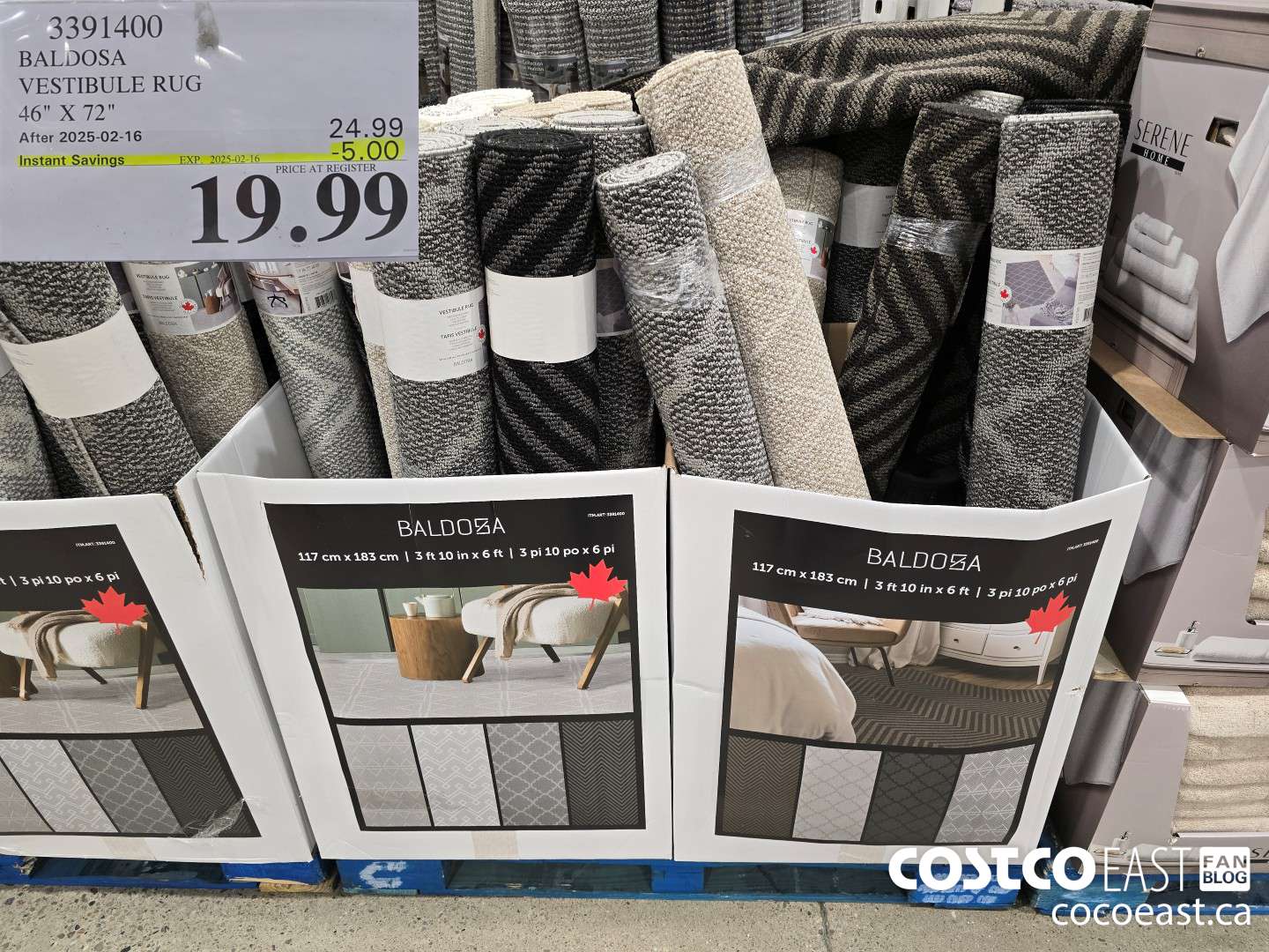 3391400 BALDOSA VESTIBULE RUG 46