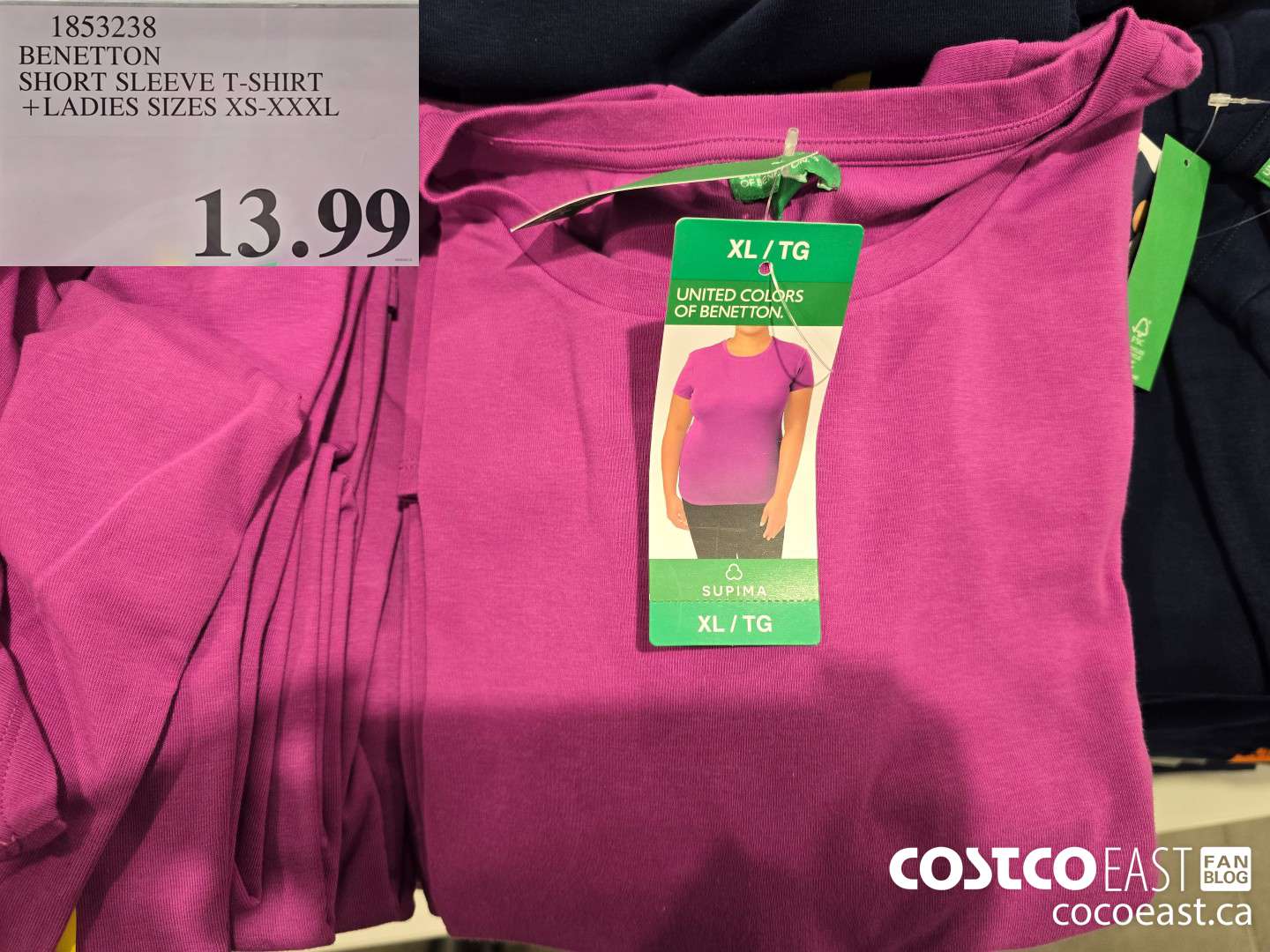 1853238 BENETTON SHORT SLEEVE T-SHIRT +LADIES SIZES XS-XXXL $13.99