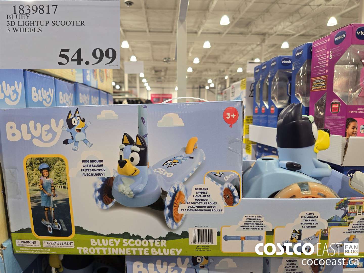 1839817 BLUEY 3D LIGHTUP SCOOTER 3 WHEELS $54.99