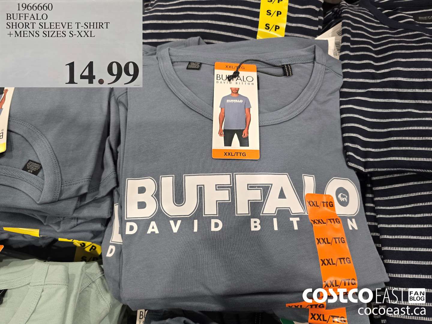 1966660 BUFFALO SHORT SLEEVE T-SHIRT +MENS SIZES S-XXL $14.99