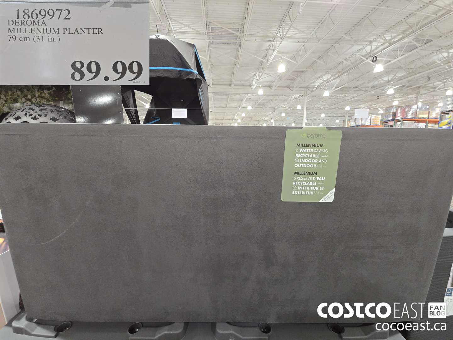 1869972 DEROM MILLENIUM PLANTER 79 cm (31 in.) $89.99