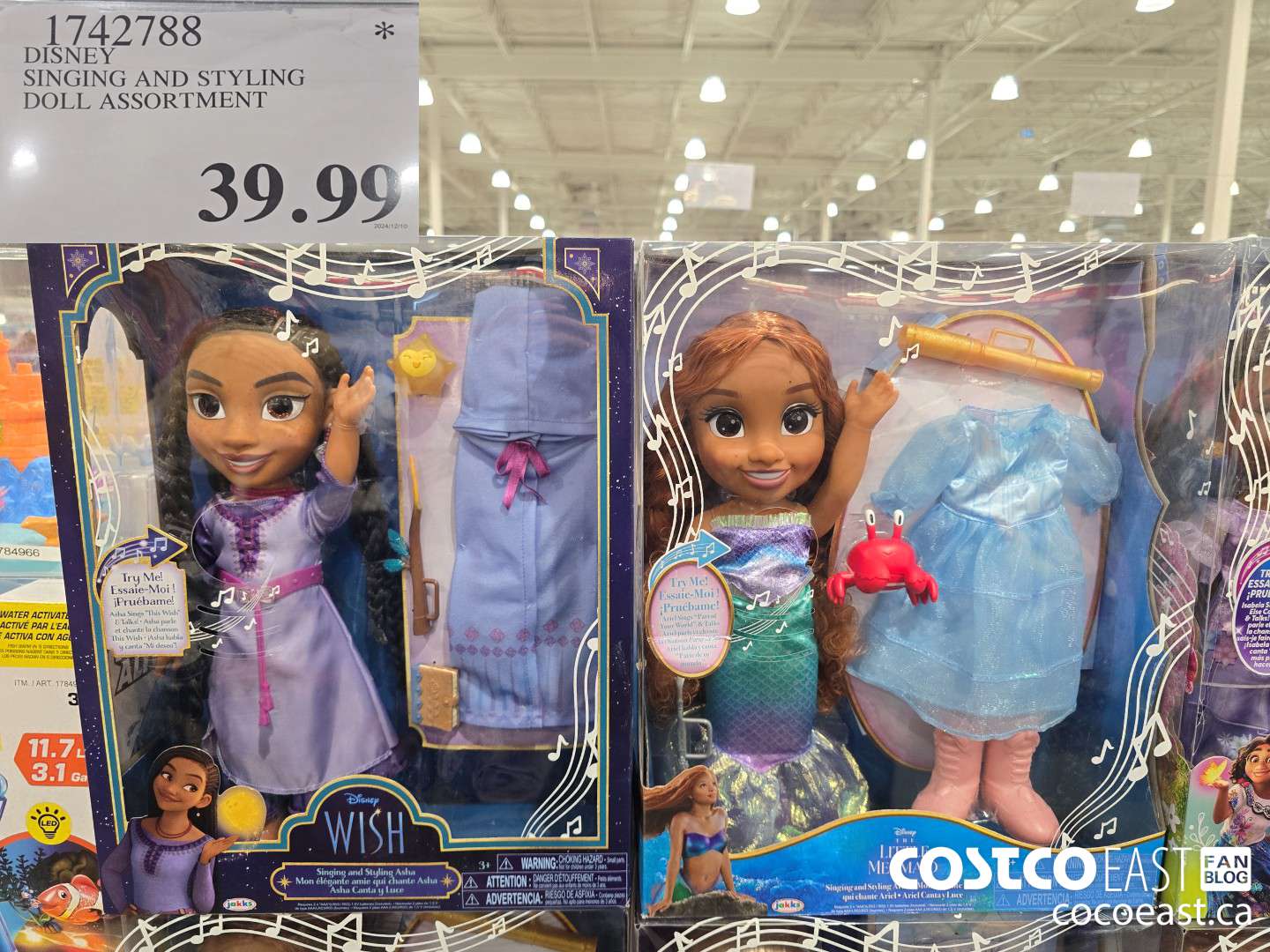 1742788 DISNEY SINGING AND STYLING DOLL ASSORTMENT $39.99