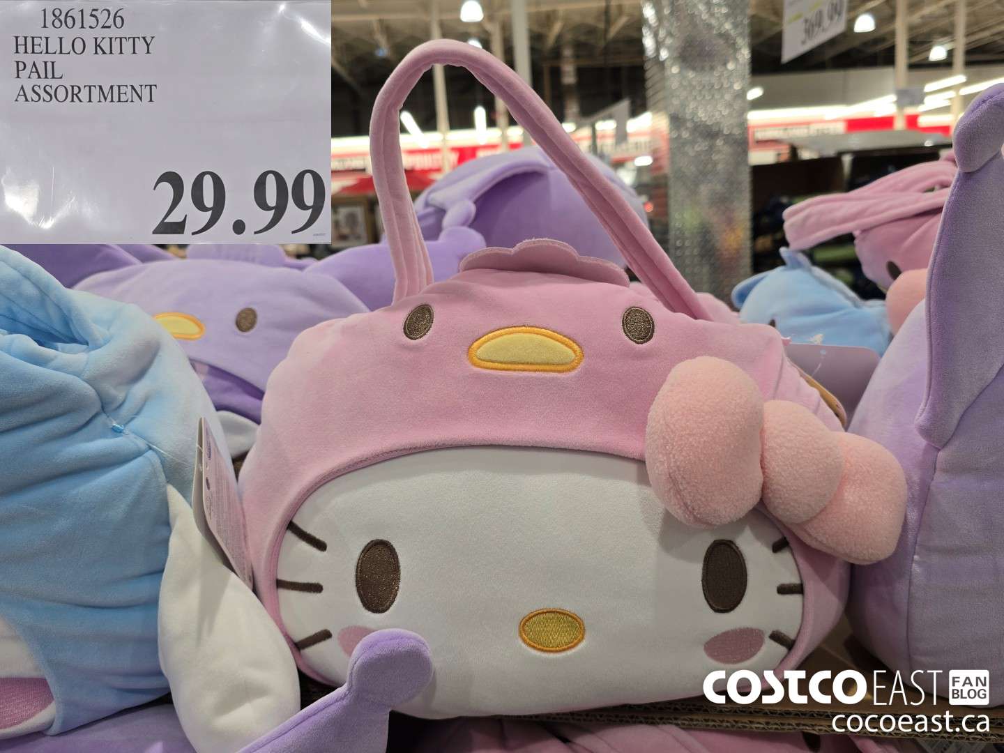 1861526 HELLO KITTY PAIL ASSORTMENT $29.99