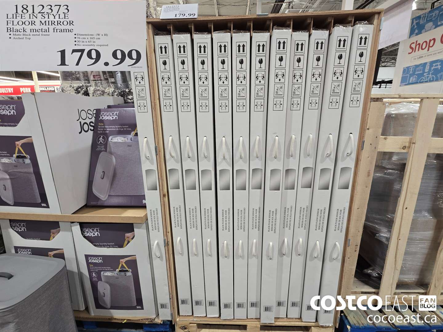 1812373 LIFE IN STYLE FLOOR MIRROR $179.99