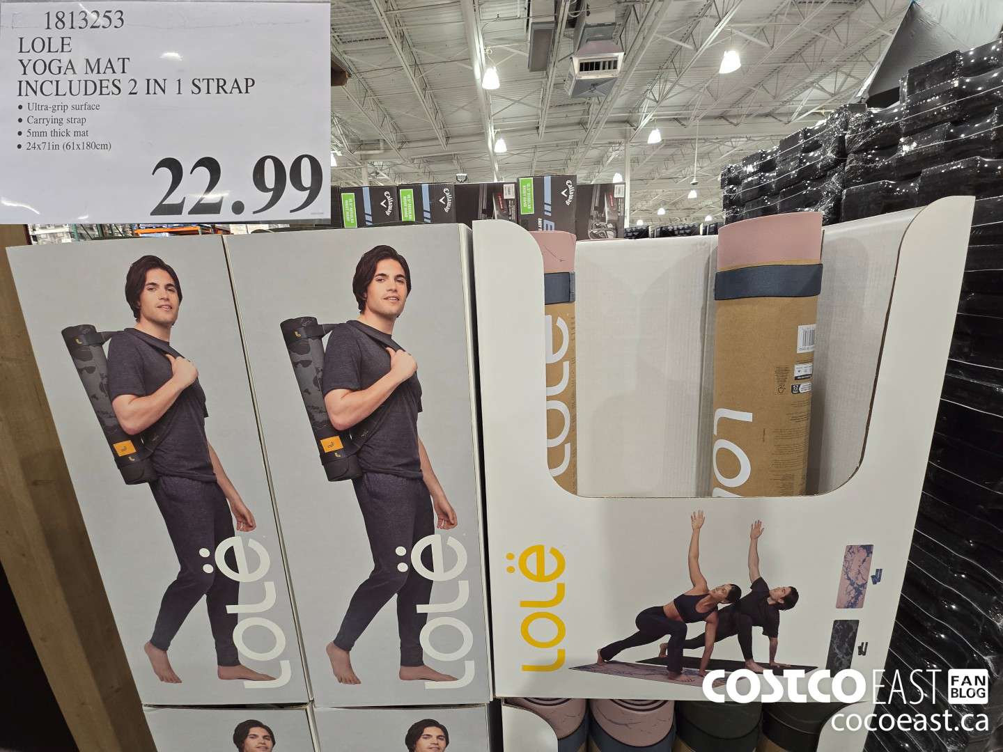 1813253 LOLE YOGA MAT INCLUDES 2 IN 1 STRAP $22.99