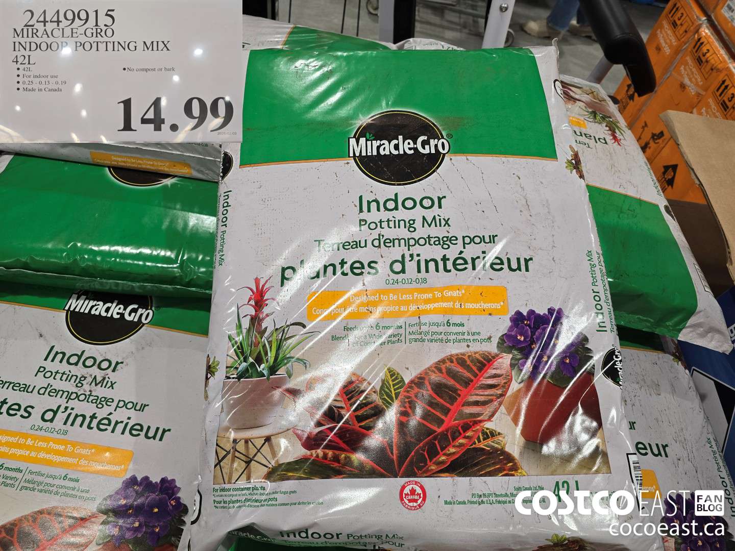 2449915 MIRACLE-GRO INDOOR POTTING MIX 42L $14.99