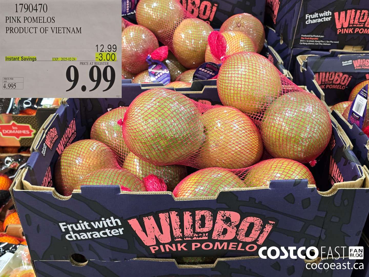 1790470 PINK POMELOS PRODUCT OF VIETNAM ($3.00 INSTANT SAVINGS EXPIRES ON 2025-02-24) $9.99