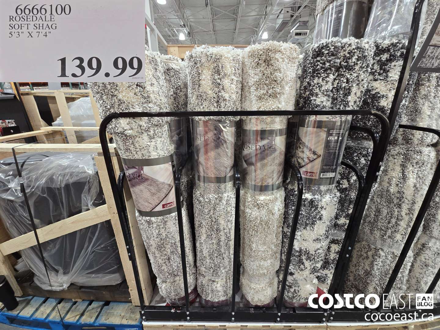 6666100 ROSEDALE SOFT SHAG 5'2