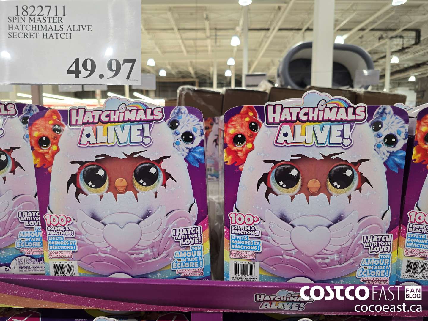 1822711 SPIN MASTER HATCHIMALS ALIVE SECRET HATCH $49.97