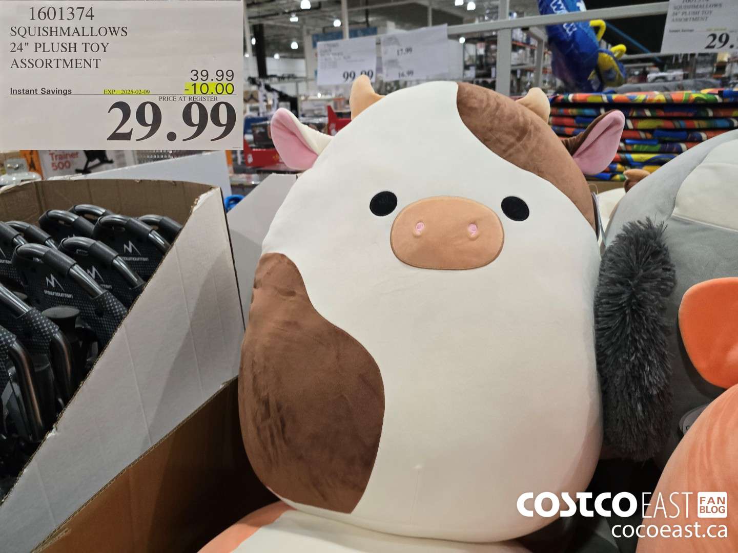 1601374 SQUISHMALLOWS 24