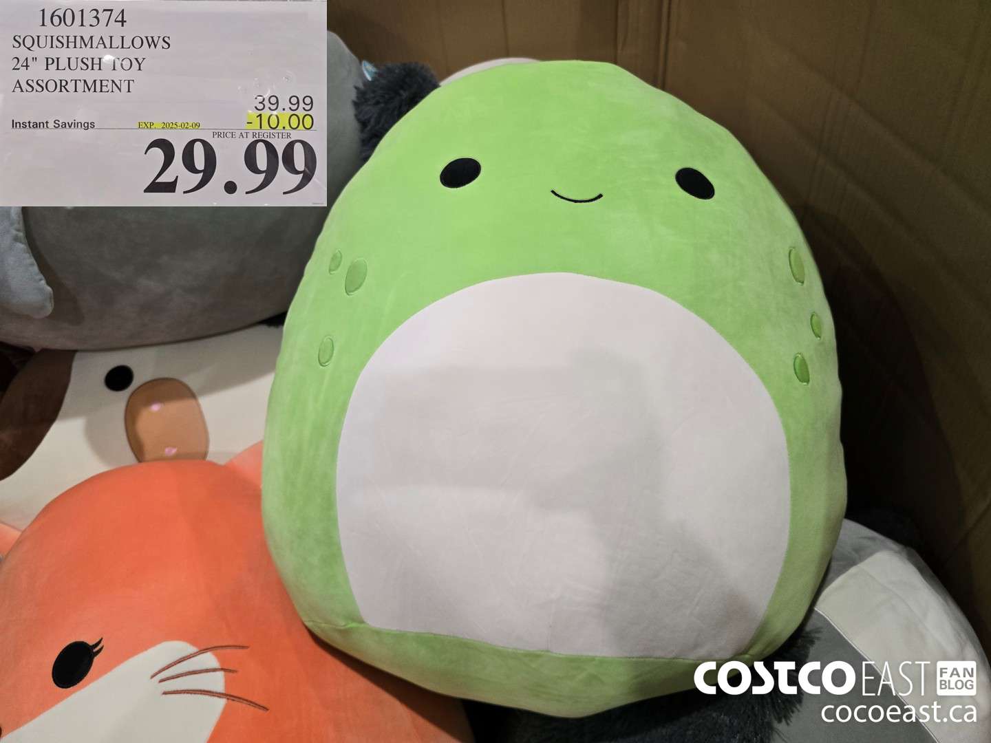 1601374 SQUISHMALLOWS 24