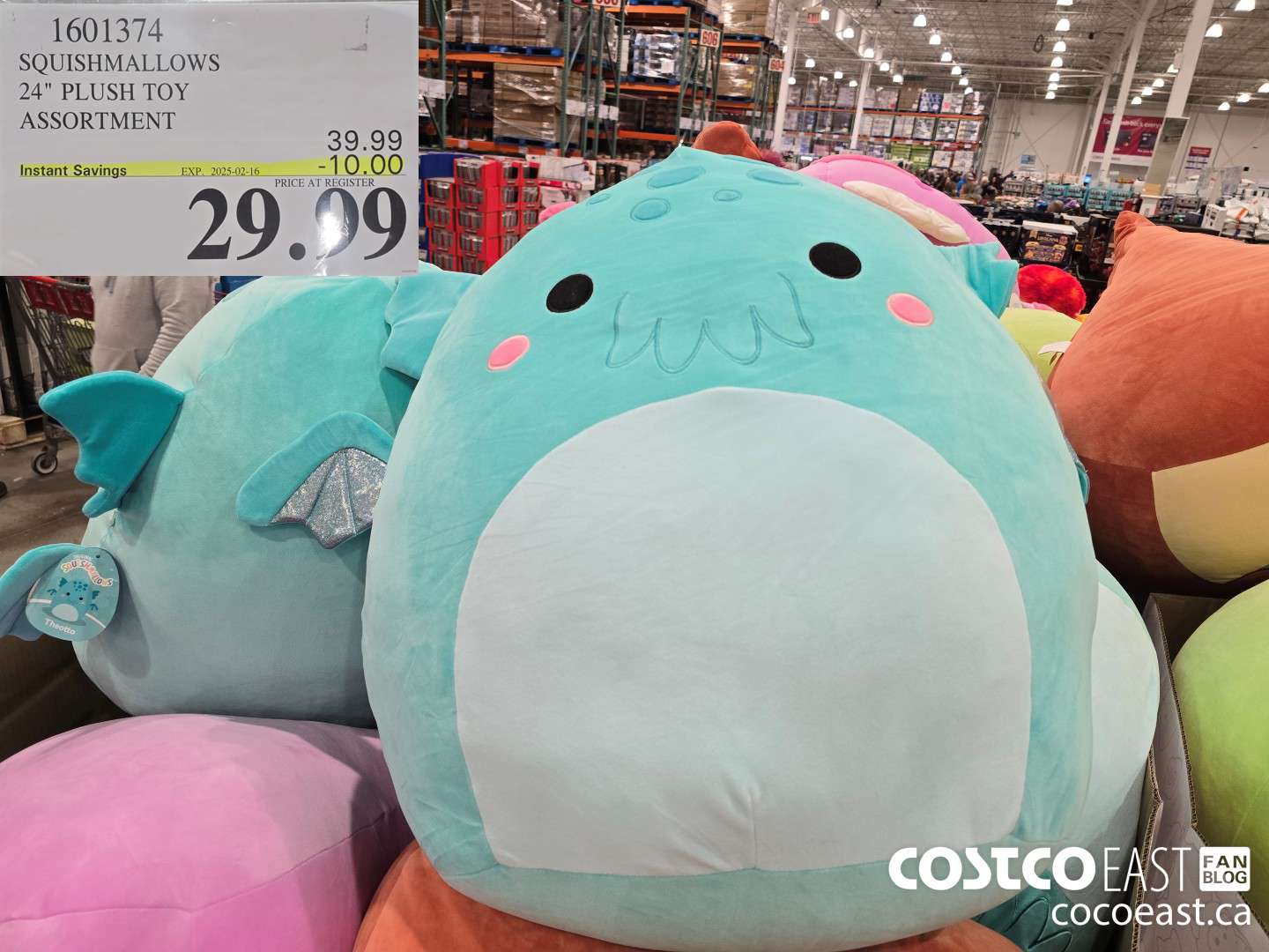 1601374 SQUISHMALLOWS 24