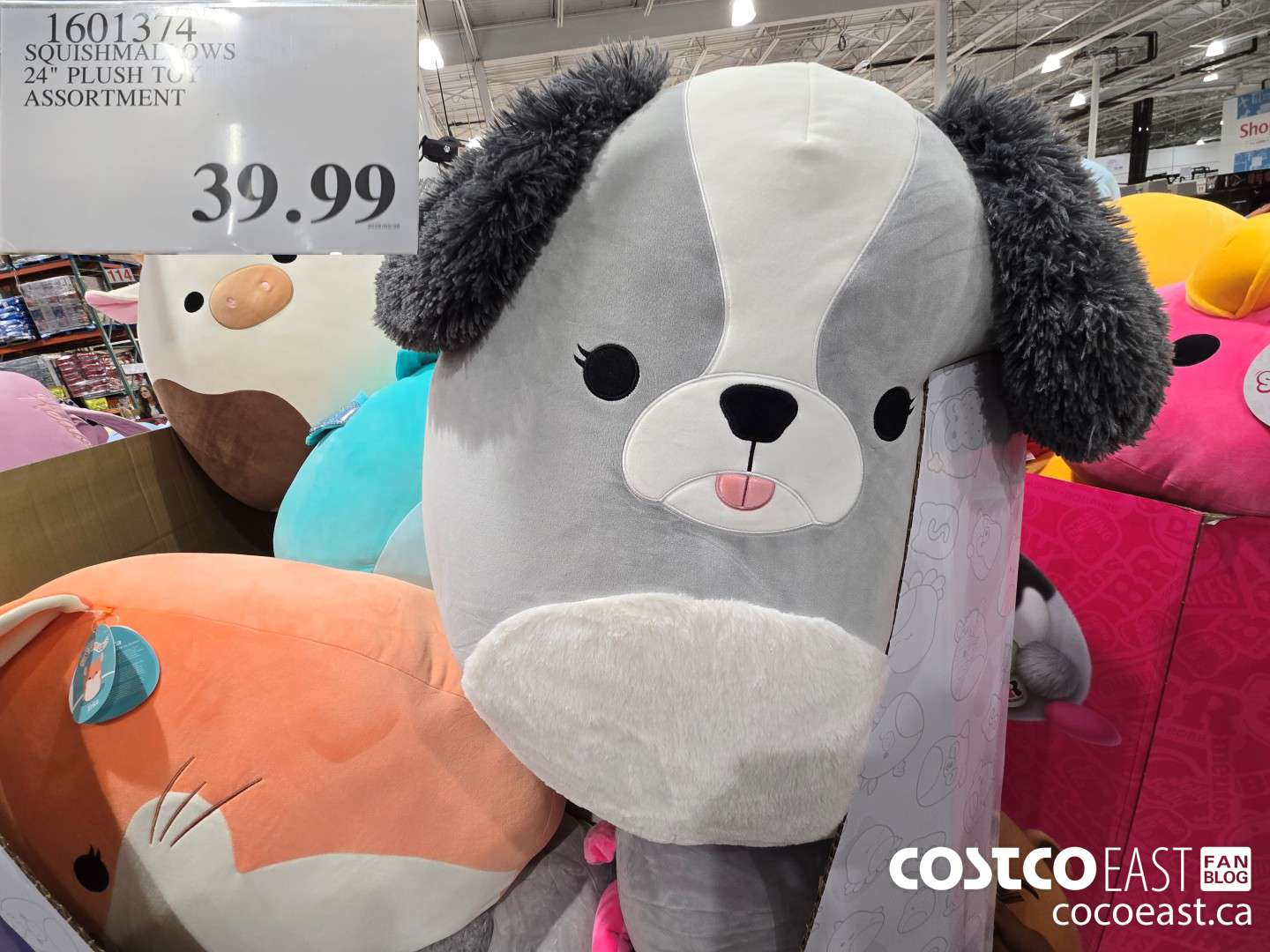 1601374 SQUISHMALLOWS 24