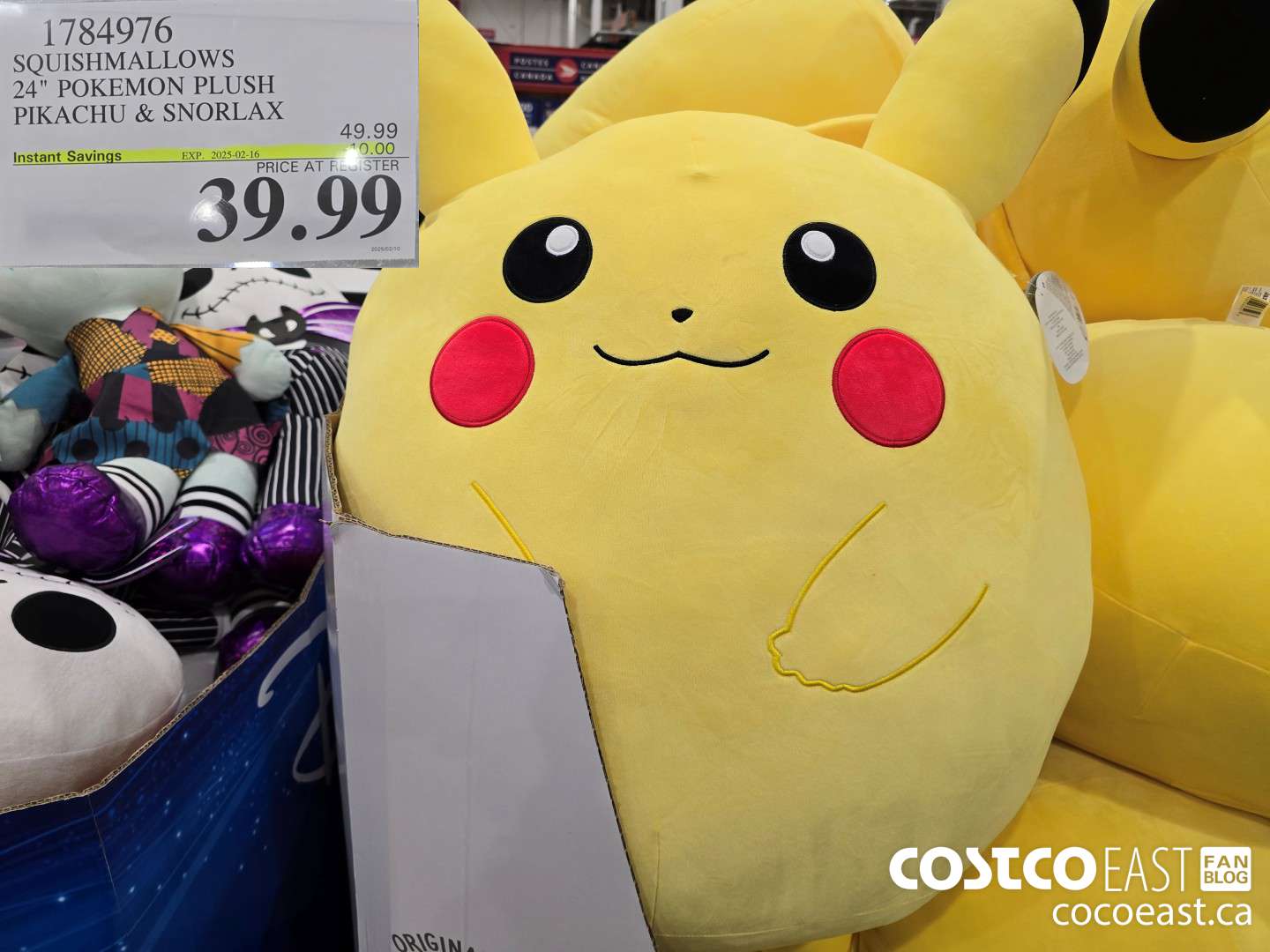 1784976 SQUISHMALLOWS 24