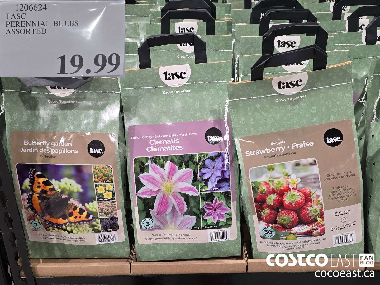 1206624 TASC PERENNIAL BULBS ASSORTED $19.99