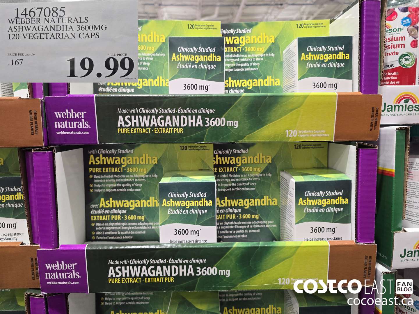 1467085 WEBBER NATURALS ASHWAGANDHA 3600MG 120 VEGETARIAN CAPS $19.99