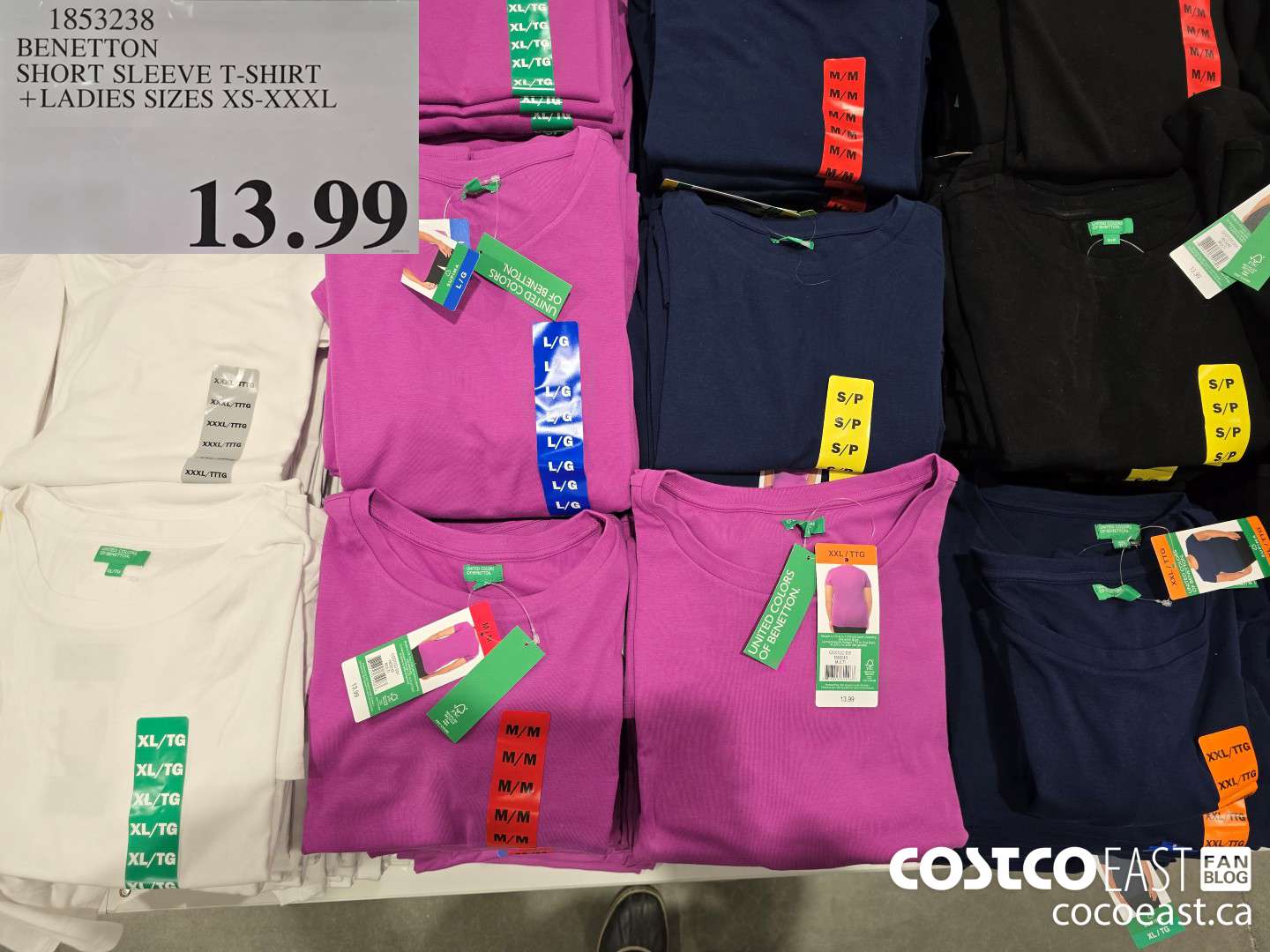 1853238 BENETTON SHORT SLEEVE T-SHIRT +LADIES SIZES XS-XXXL $13.99