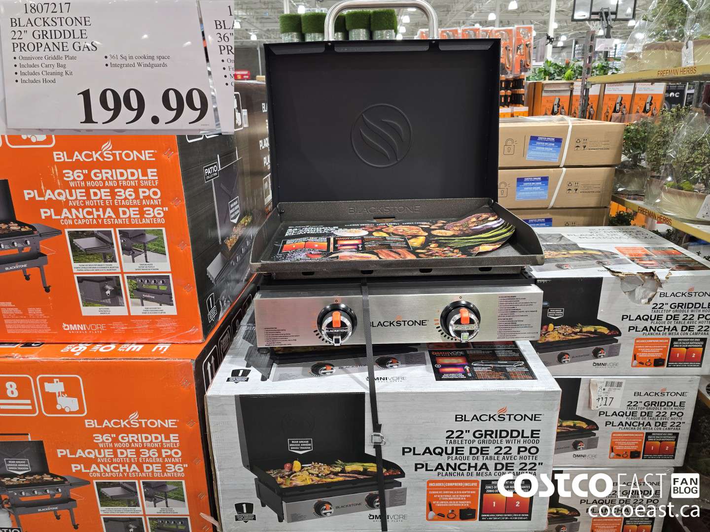 1807217 BLACKSTONE 22