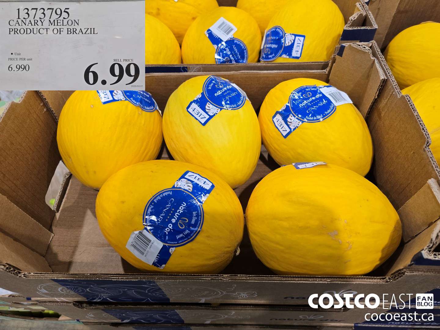 1373795 CANARY MELON PRODUCT OF BRAZIL $6.99