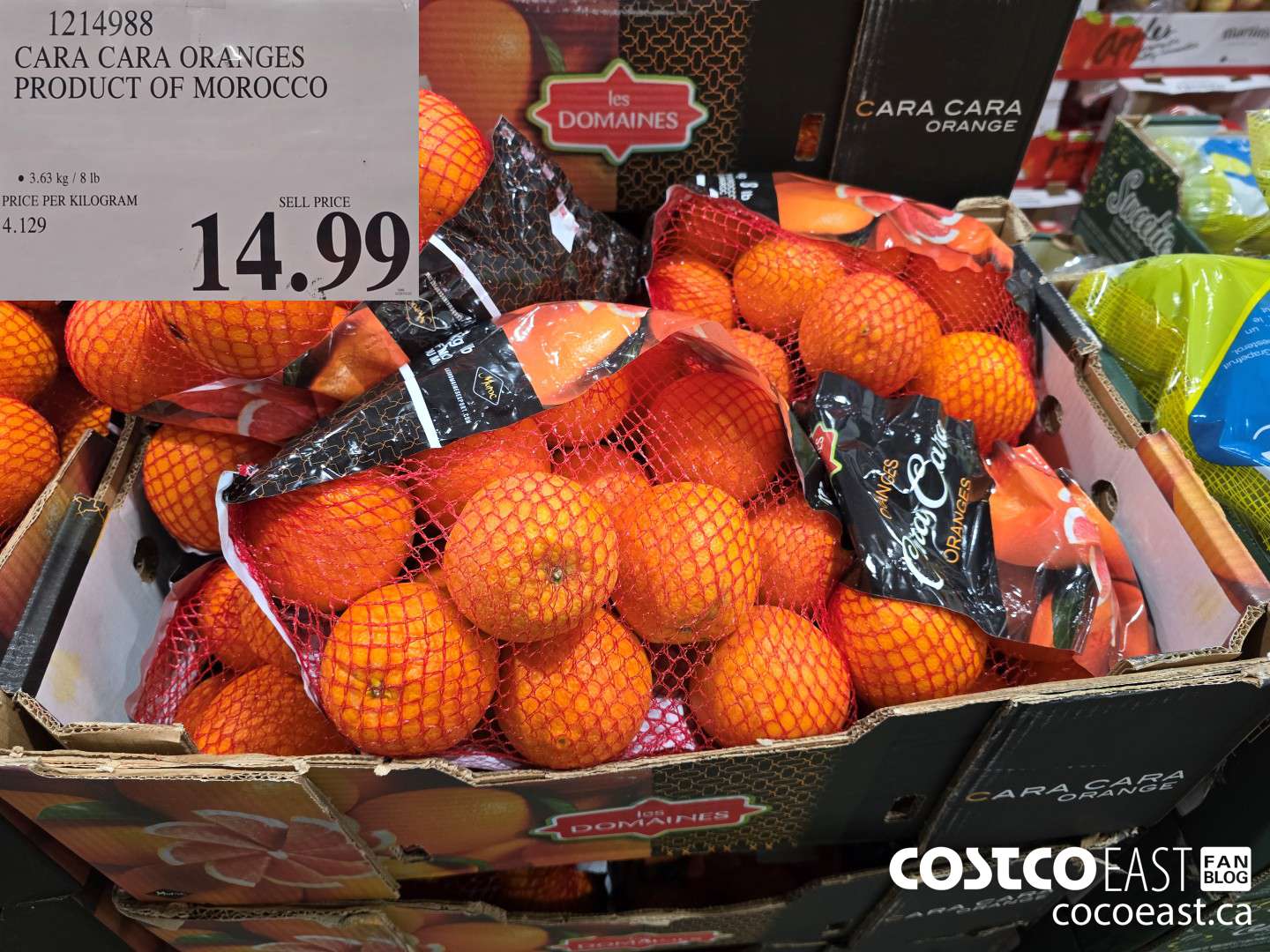 1214988 CARA CARA ORANGES PRODUCT OF MOROCCO $14.99