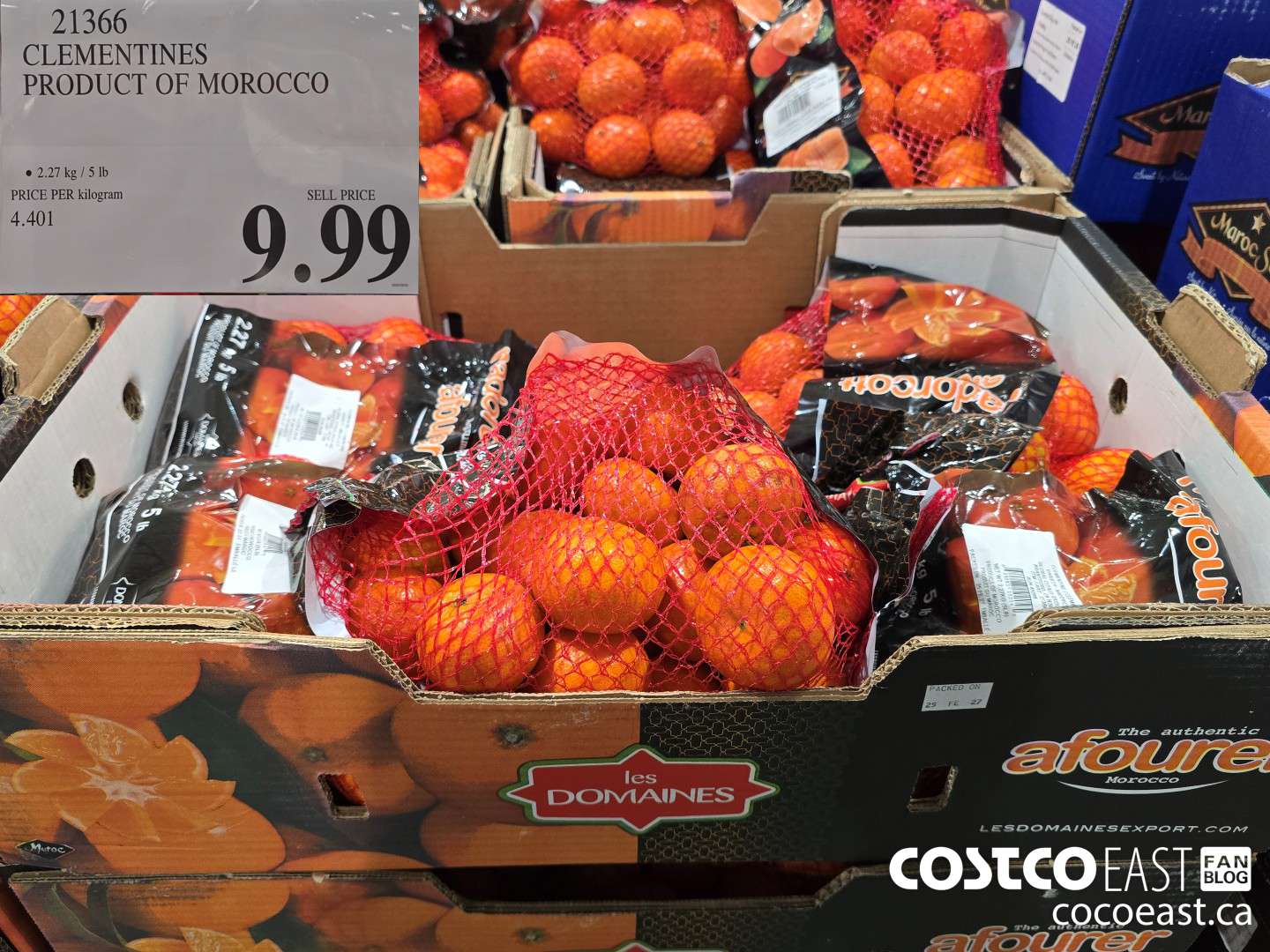 21366 CLEMENTINES PRODUCT OF MOROCCO $9.99