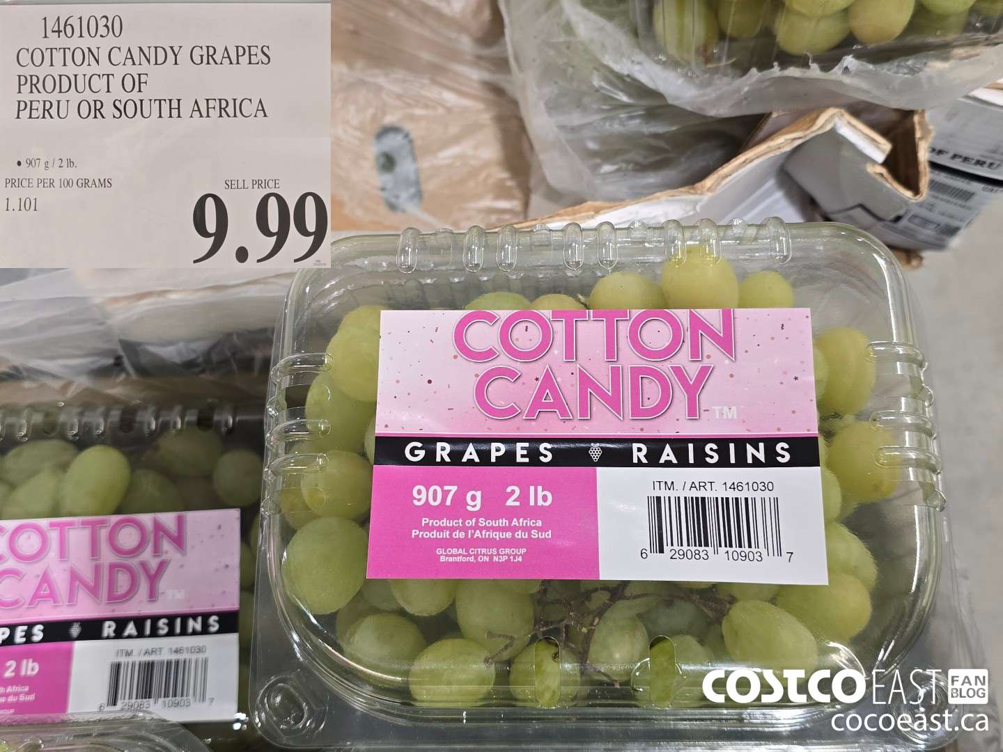 1461030 COTTON CANDY GRAPES PRODUCT OF PERU OR SOUTH AFRICA $9.99