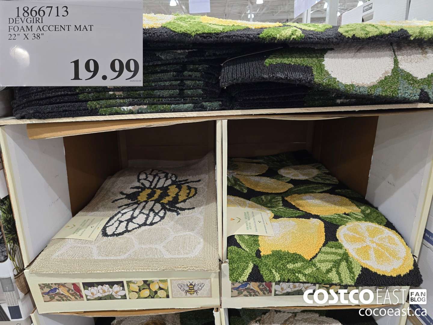 1866713 DEVGIRI FOAM ACCENT MAT 22