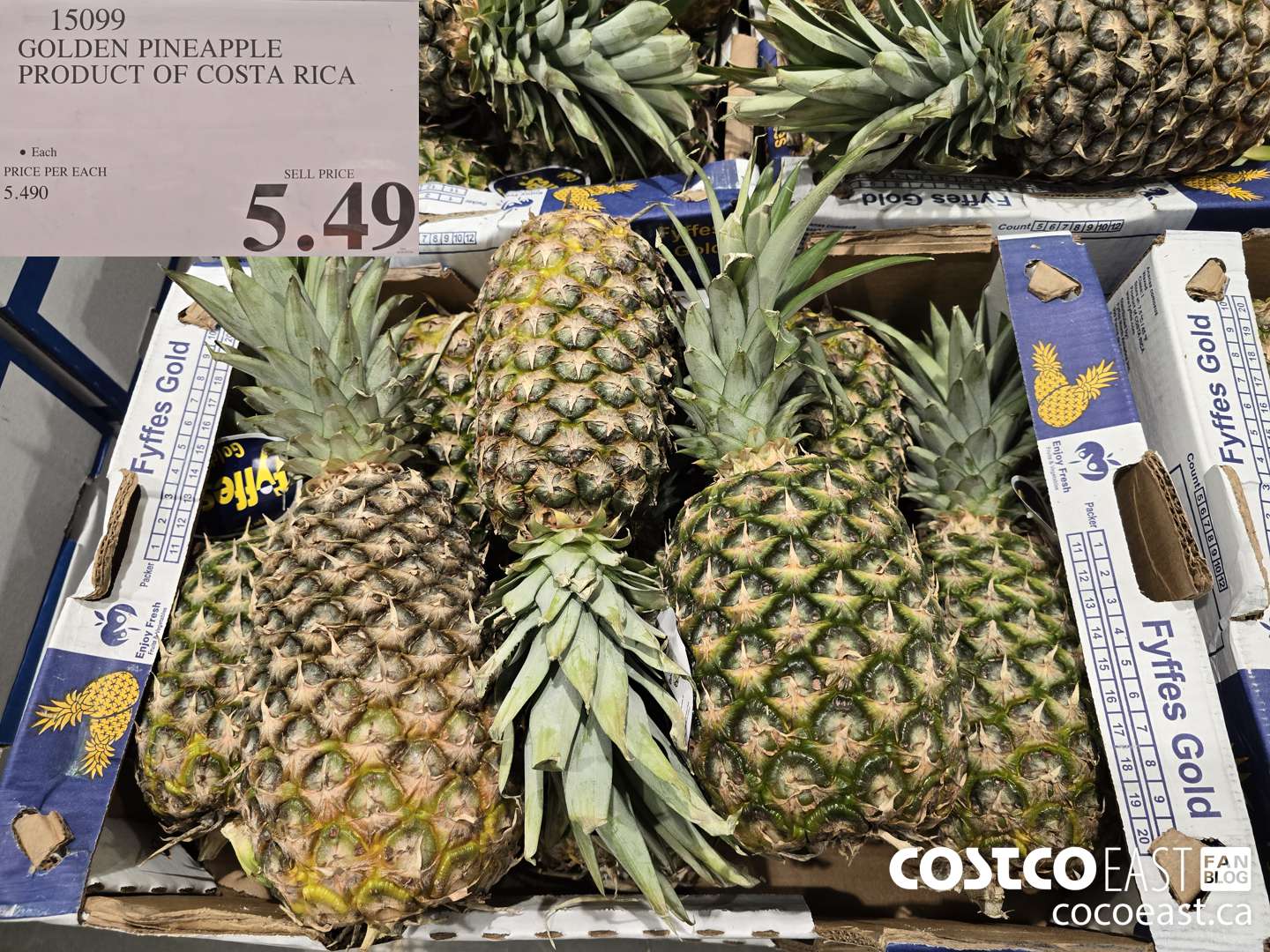 15099 GOLDEN PINEAPPLE PRODUCT OF COSTA RICA $5.49