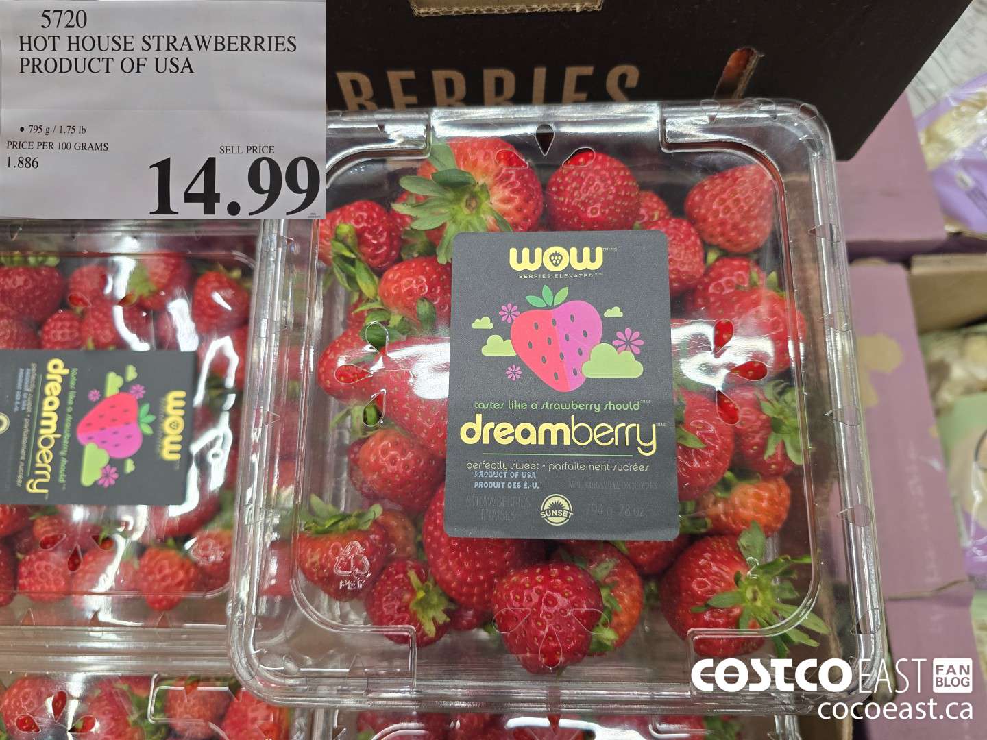 5720 HOT HOUSE STRAWBERRIES PRODUCT OF USA $14.99