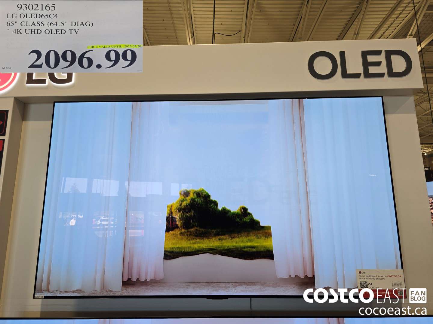 9302165 LG OLED65C4 65