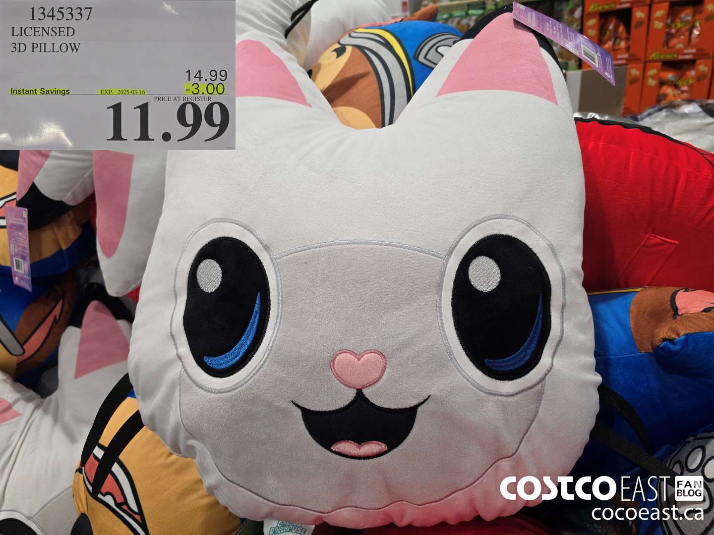 1345337 LICENSED 3D PILLOW ($3.00 INSTANT SAVINGS EXPIRES ON 2025-03-16) $11.99