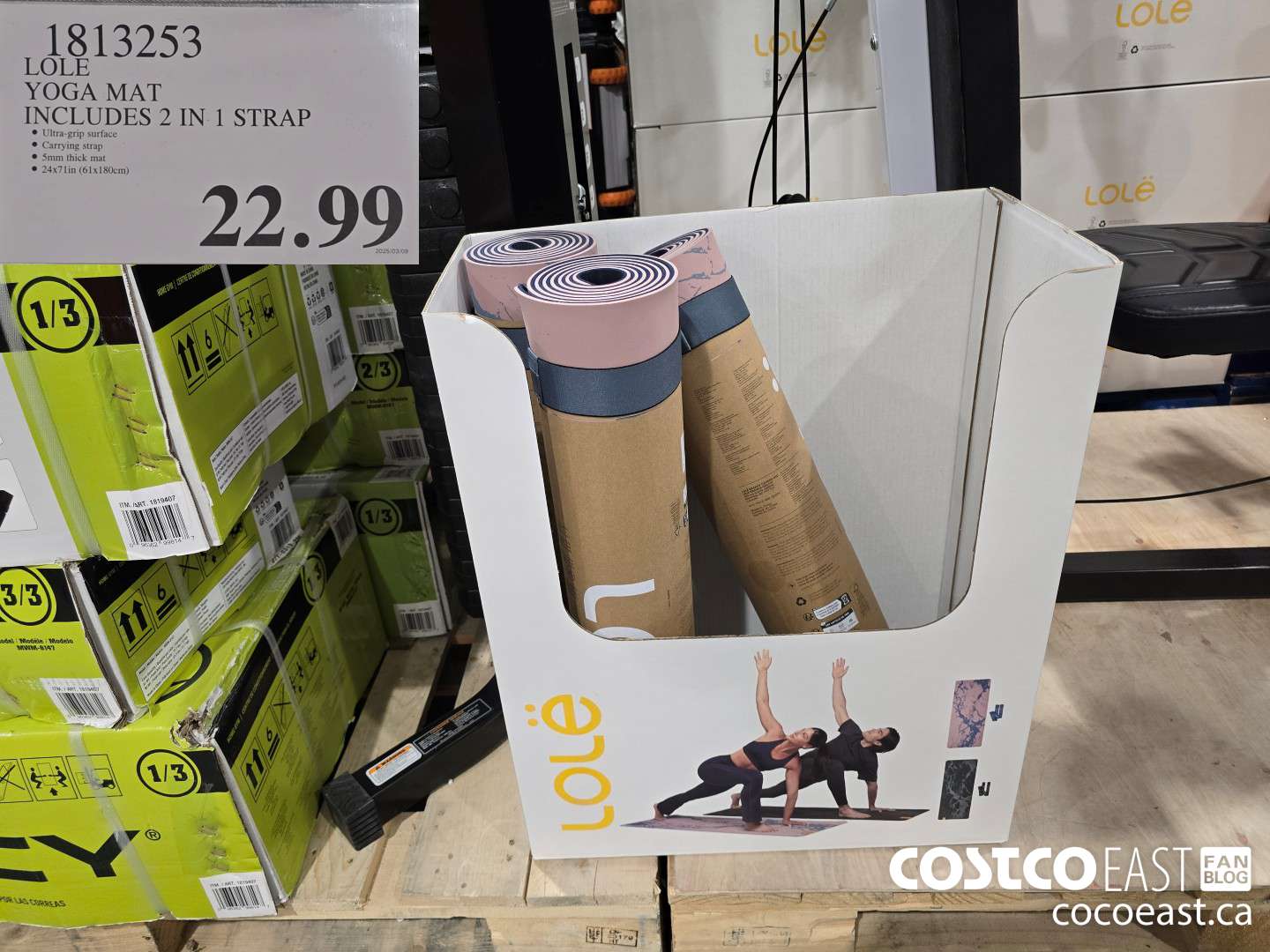 1813253 LOLE YOGA MAT INCLUDES 2 IN 1 STRAP $22.99