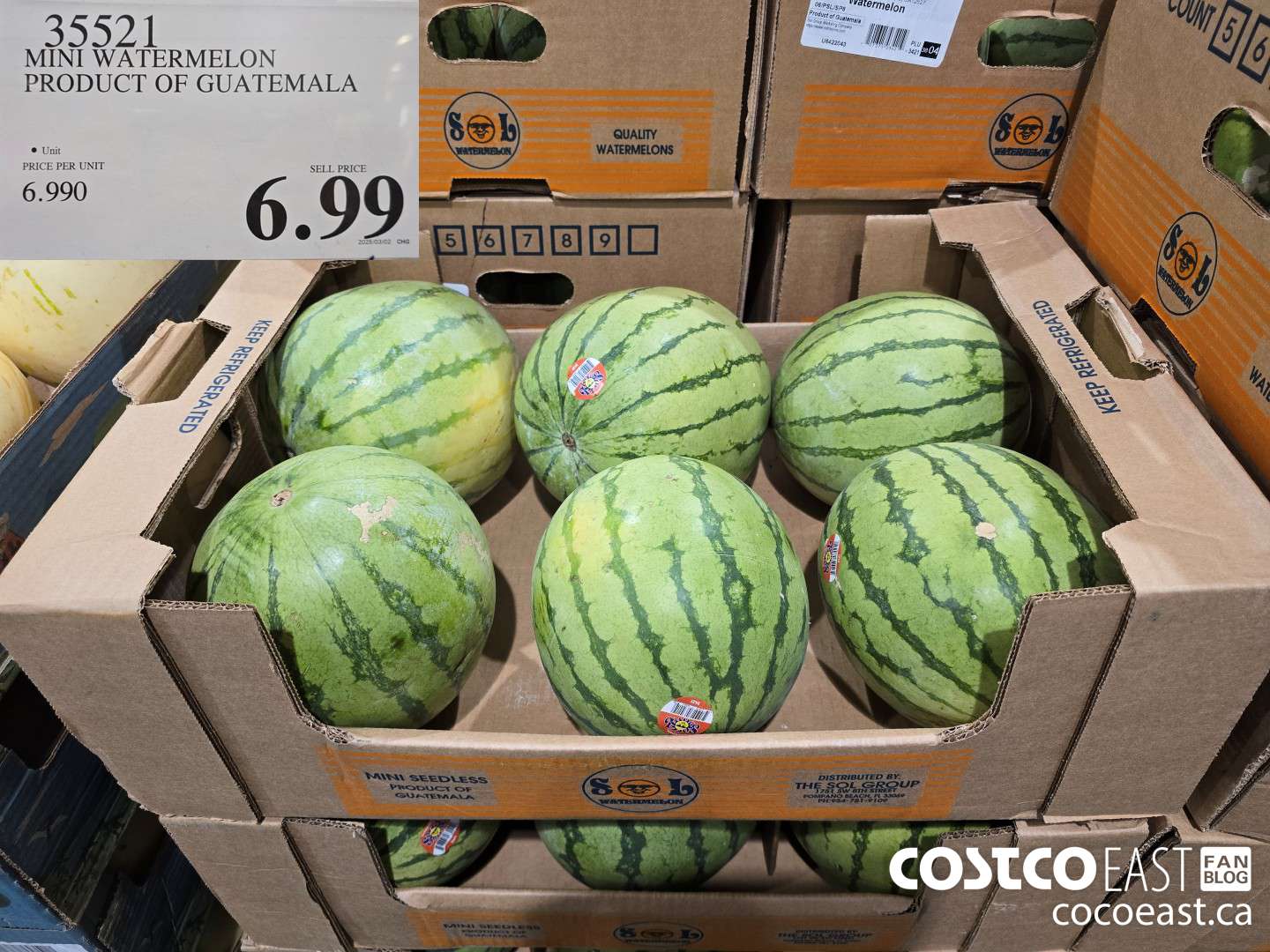 35521 MINI WATERMELON PRODUCT OF GUATEMALA $6.99