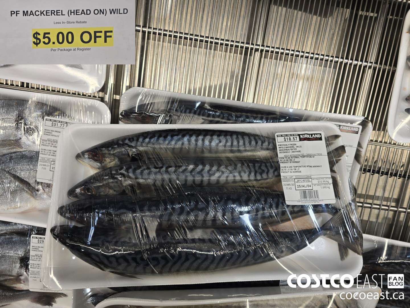 28849 PF MACKEREL (HEAD ON) WILD ($5.00 INSTANT SAVINGS)