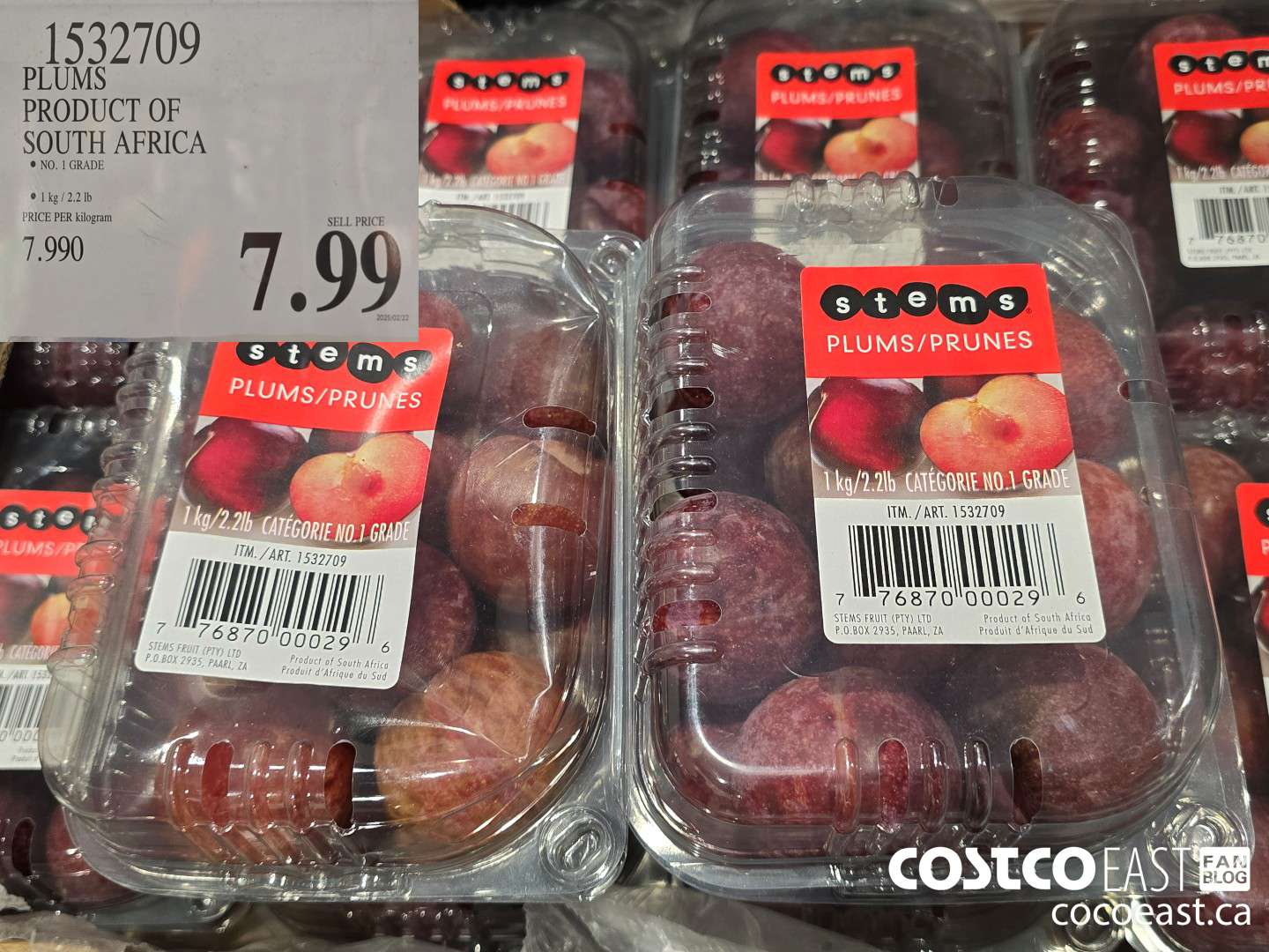 1532709 PLUMS PRODUCT OF SOUTH AFRICA $7.99