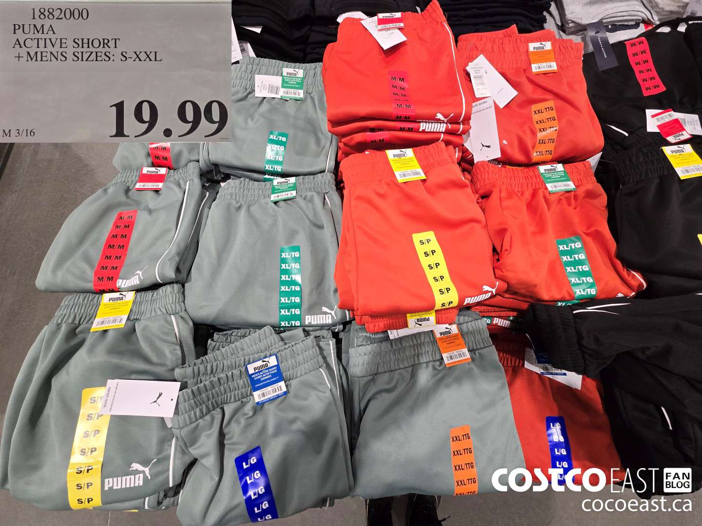 1882000 PUMA ACTIVE SHORT +MENS SIZES: S-XXL $19.99