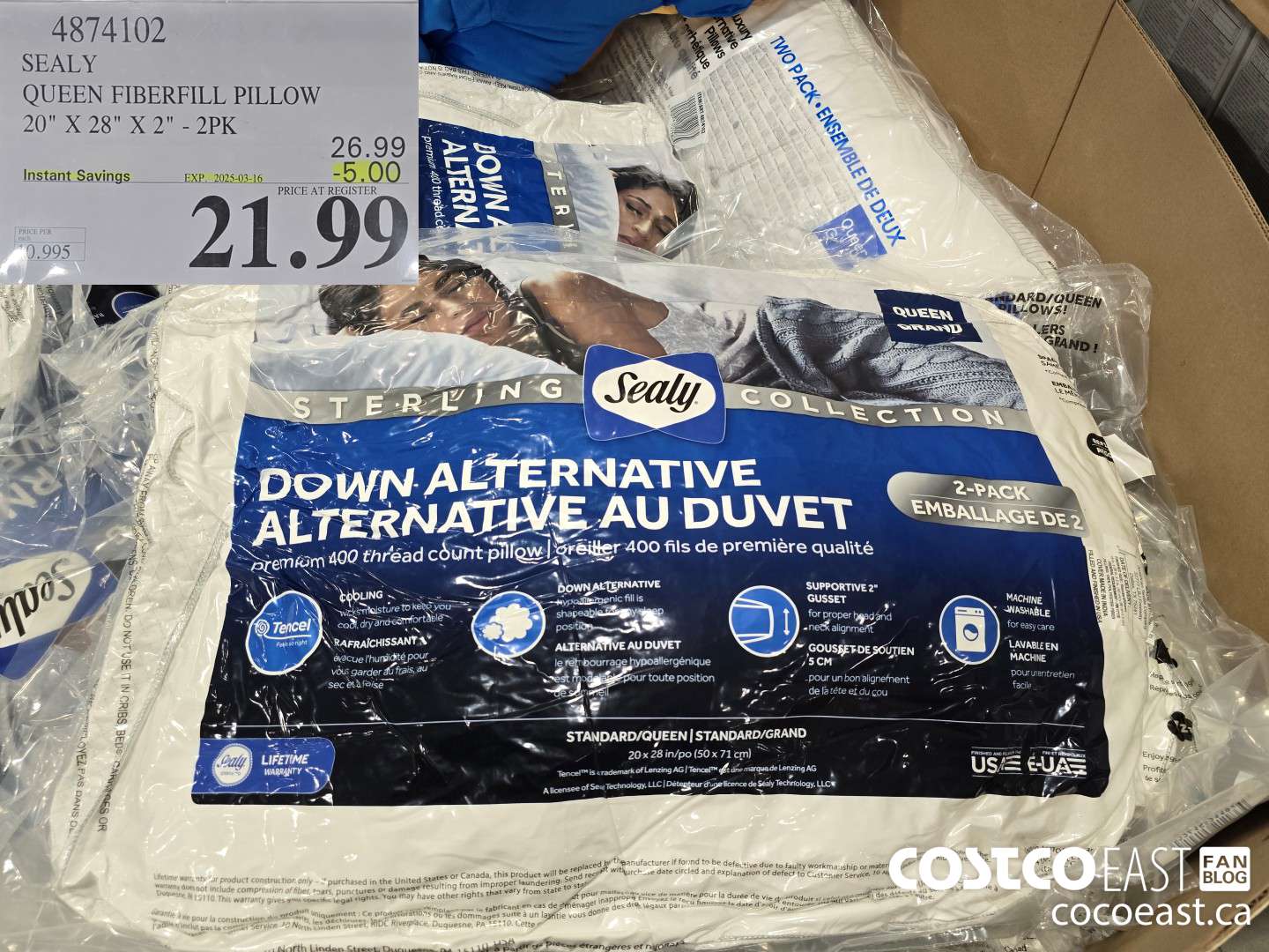 4874102 SEALY QUEEN FIBERFILL PILLOW 20